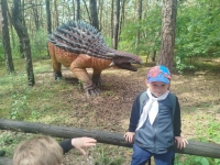 img_20250624_140753-kopiowanie-jpg1754639546